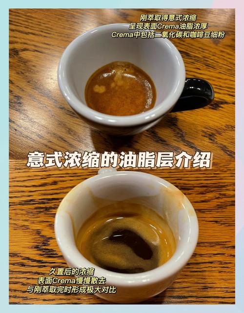 精品罗布斯塔意式浓缩油脂对比图