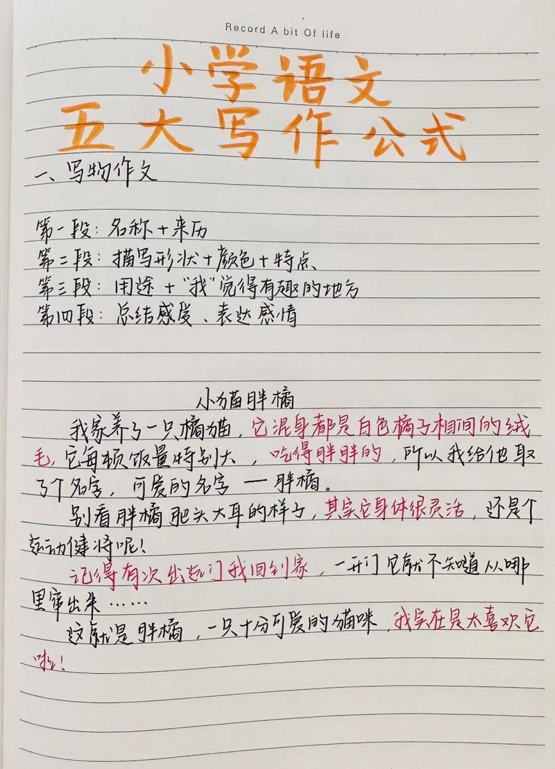 选的时候根本没搞什么复杂公式，全是跟着我家的生活习惯凑的