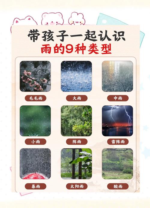 雨水和潮湿是大敌