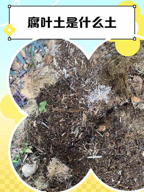 家庭园艺落叶堆肥成品腐殖土图