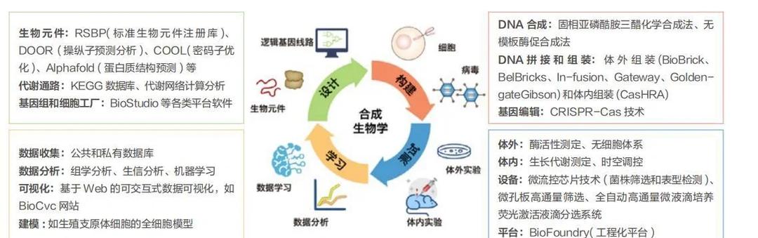 合成生物学底盘细胞乐高类比示意图