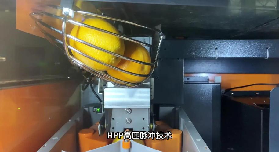 脉冲电场果汁杀菌设备电极模块结构示意图