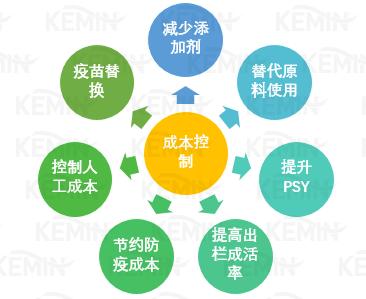 控制选项,降低用户的决策成本