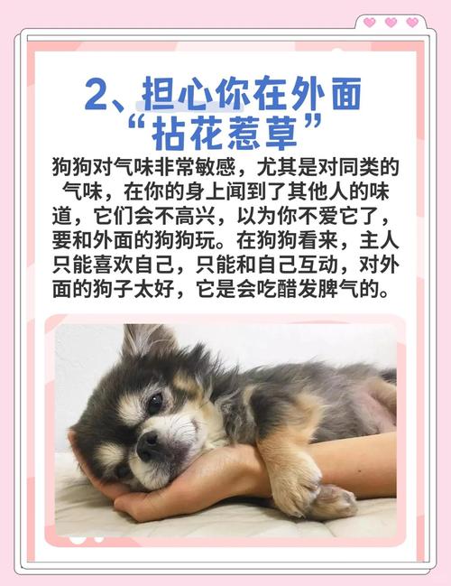 为啥你总嫌狗嗅闻浪费时间？