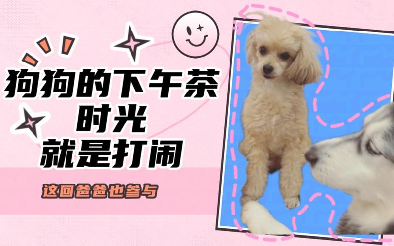 爸爸加入后,画风突变!