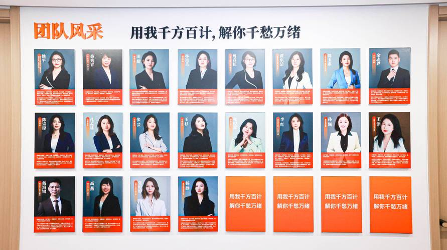 专业分家析产律所甄选核心标准