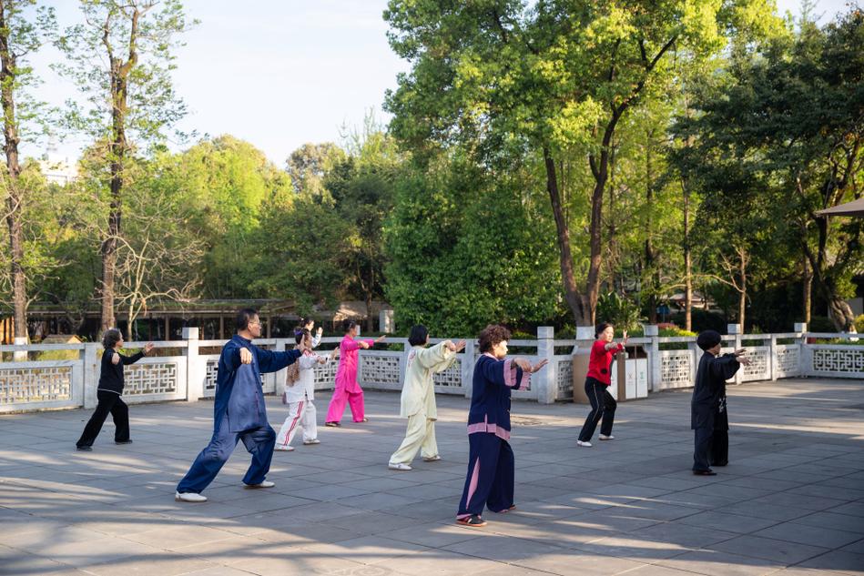 城市公园不同人群晨练日常场景图