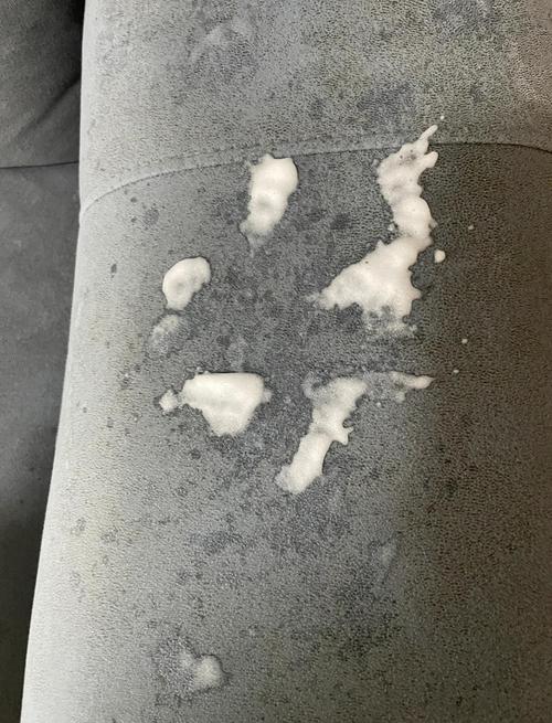 布艺沙发宠物尿渍残留检测试图片