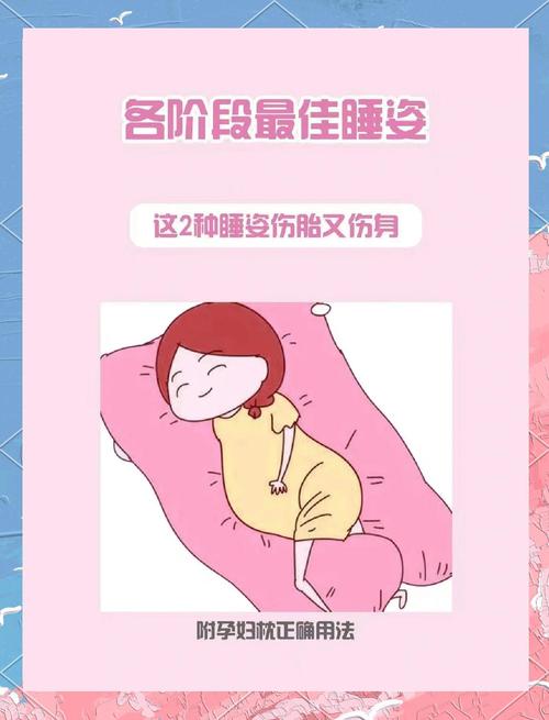 孕期中晚期正确侧卧睡姿示意图