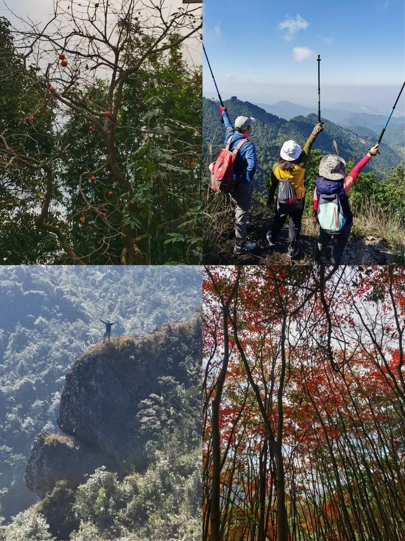 山间闲游:慢悠悠的山野乐趣