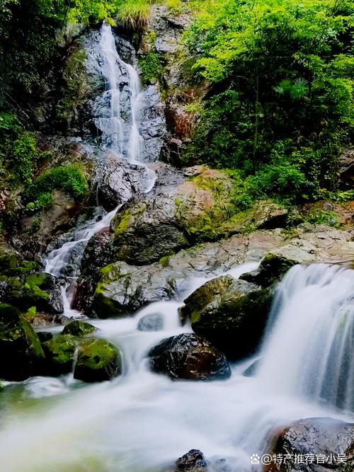 藏在深山里的玩法,比你想的多
