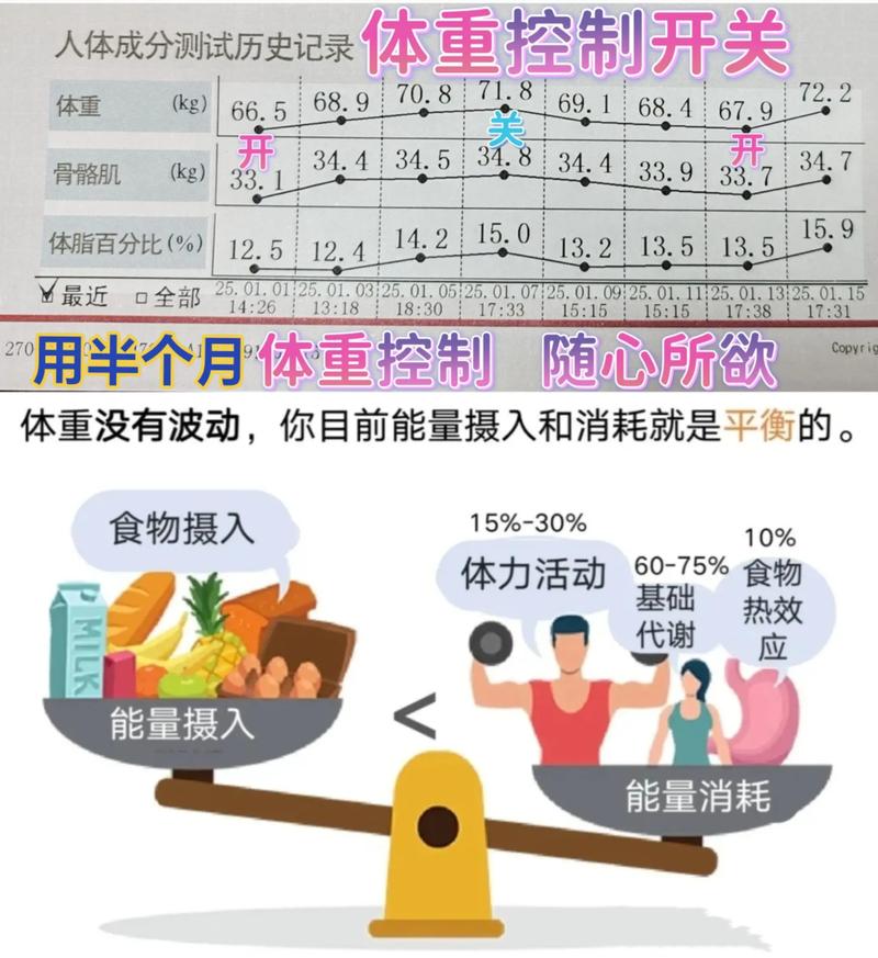 人体体重调定点调节原理示意图