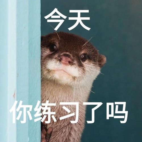 千万别等考试再练,日常聊天就能练