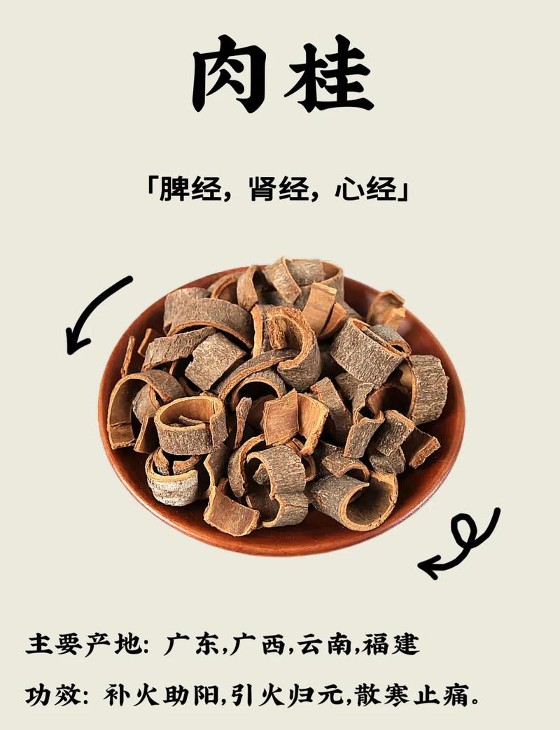 是药还是毒?肉桂的健康传说与科学