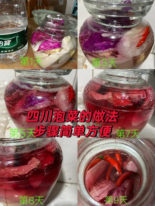 自制泡菜发酵正常与变质状态对比图