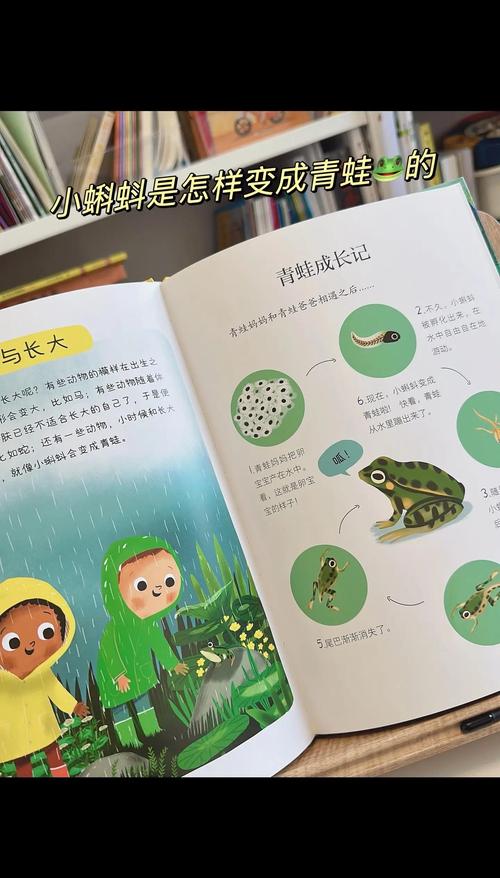 温和叙事型：把科普藏在亲子日常里