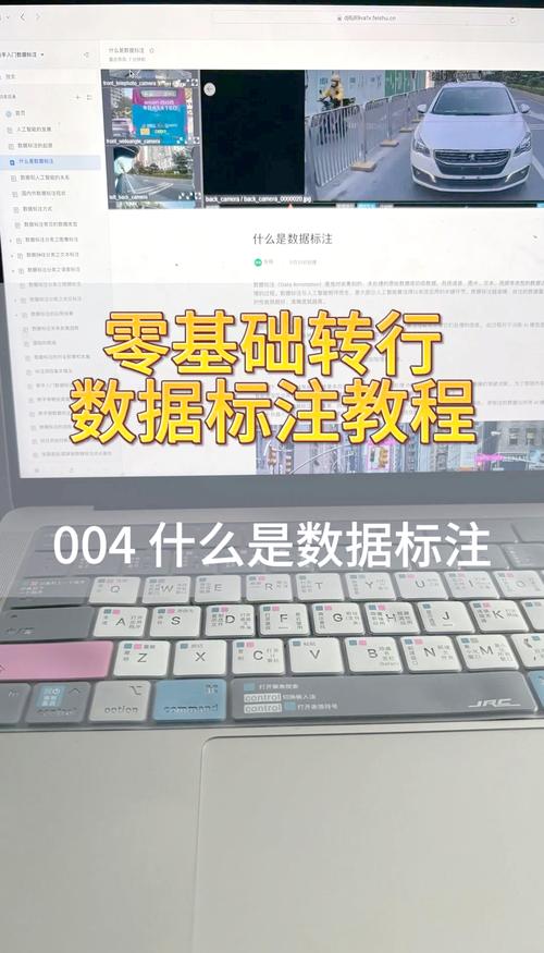 它和普通数据标注有什么区别