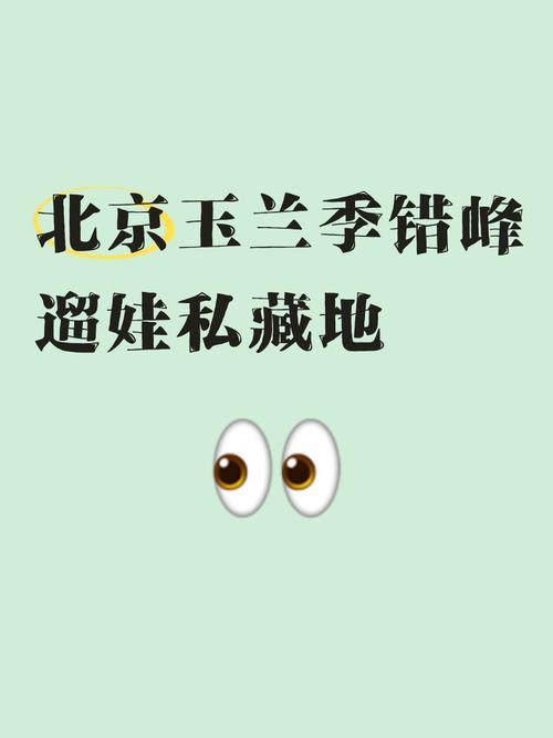 三、预订策略:错峰与长住是美学妥协的代价