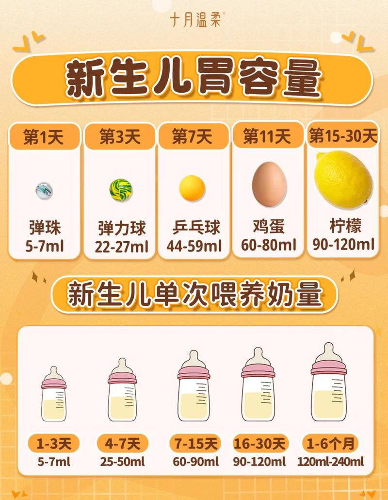 新生儿胃容量对比弹珠乒乓球示意图