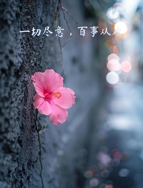 乱吃补剂催长，毁了本该到来的静待花开