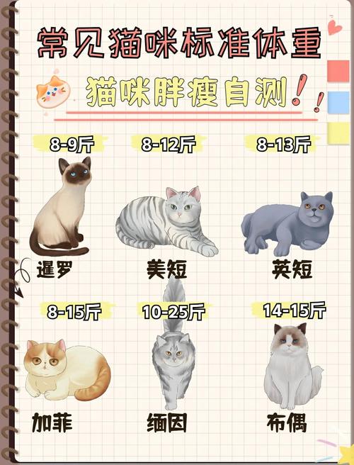 不同品种成年犬猫正常体重范围对照表