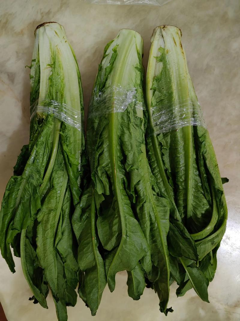 厨房纸包裹油麦菜保鲜实景