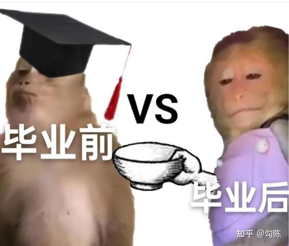 🕳 空白期？学历差？别躲，正面刚反而有奇效