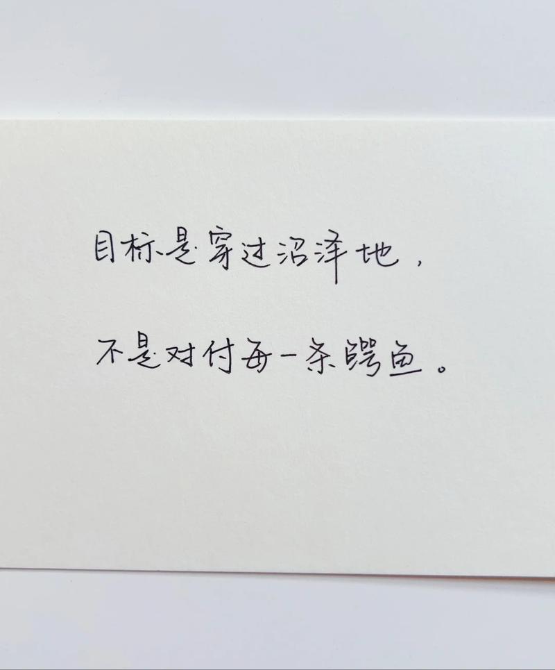不是所有沼泽都能踩，但所有沼泽都该被善待