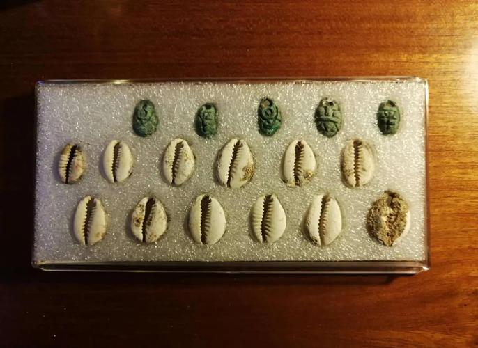 商代货贝货币出土文物照片