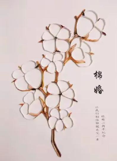 棉婚的三大挑战与一个惊喜