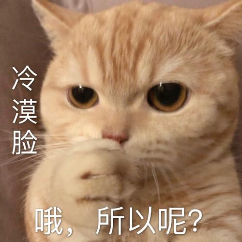 所以呢？