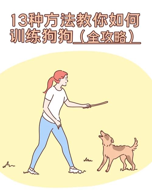 主人停住等待狗狗回头牵绳放松训练示意图