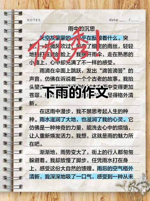 那个下雨天,儿子教会我的事