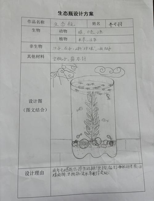 初中生工程设计制作生态瓶探究活动过程图