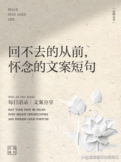 结语:回不去的,才叫怀念