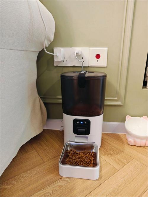 宠物领养群用户晒智能喂食器使用实拍截图