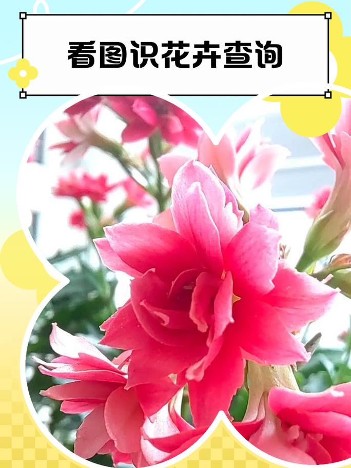 花两分钟就能自己查