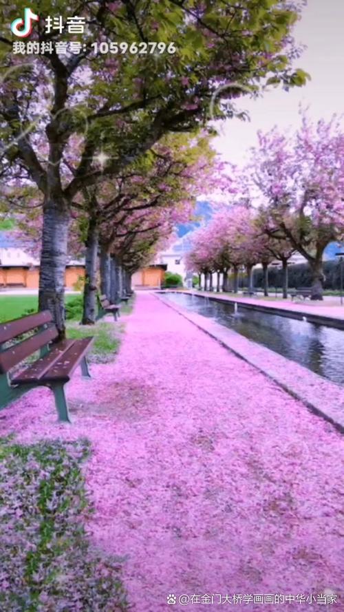 春季户外城市道路花粉飘散场景图