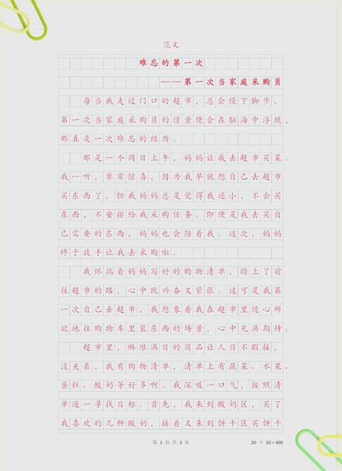 我那次惨痛的采购经历