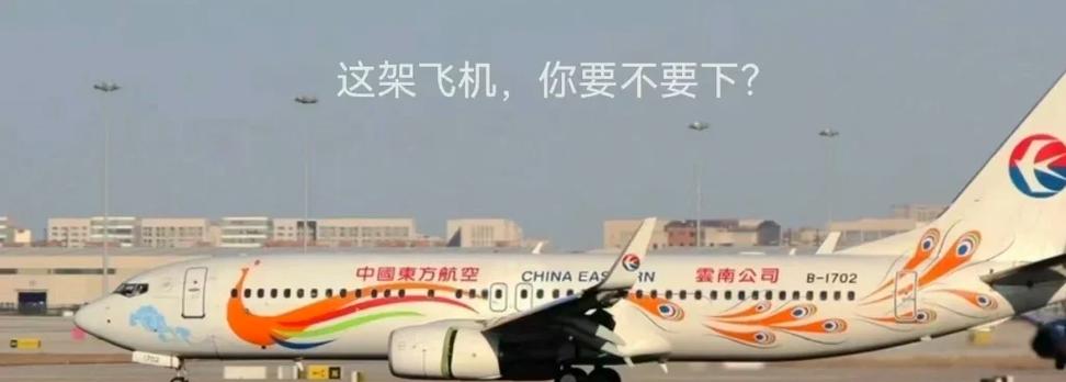 飞行不是白给的,它们开着“自动巡航”