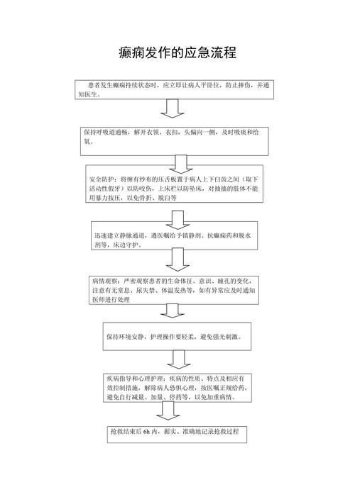 宠物癫痫发作主人正确处理步骤图