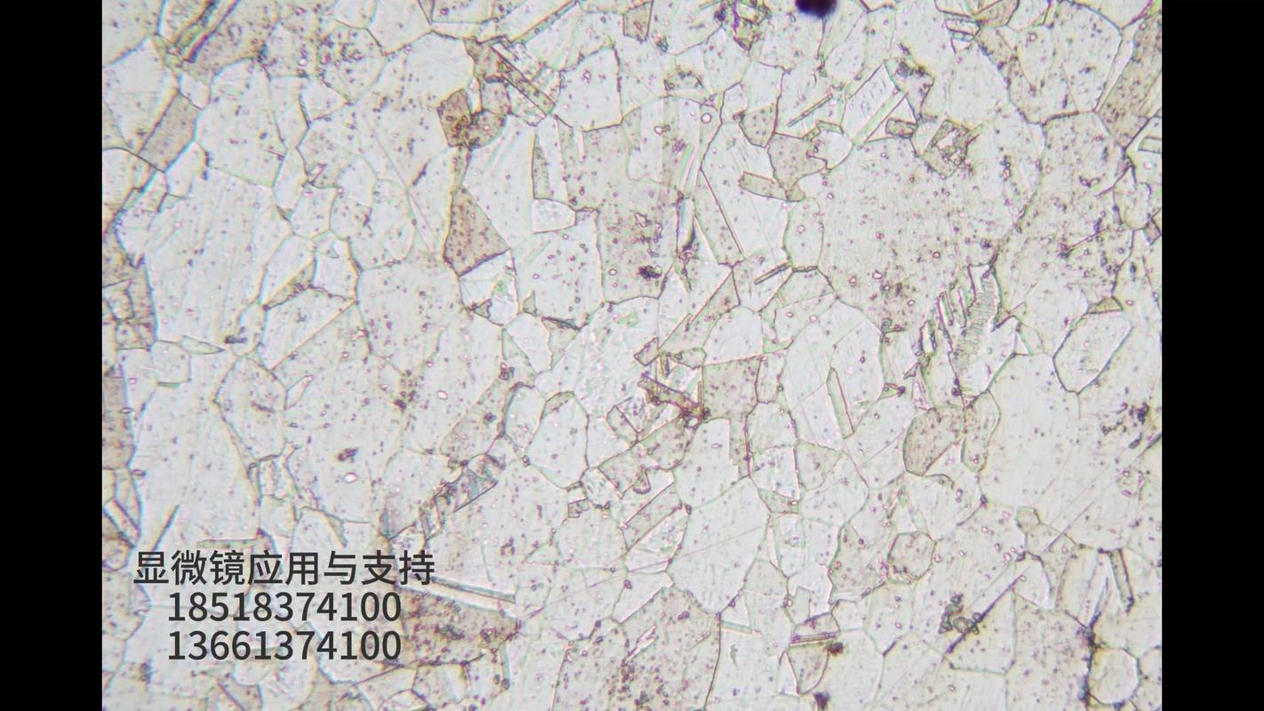 工具钢淬火晶粒腐蚀金相显微镜图