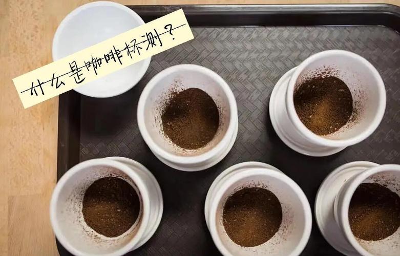 在家简易咖啡杯测步骤实拍