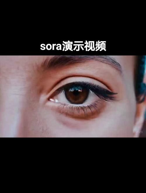 Sora生成的高清逼真视频画面示例