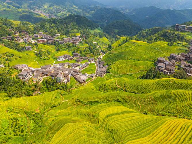 广西龙脊梯田金佛顶观景台梯田全景