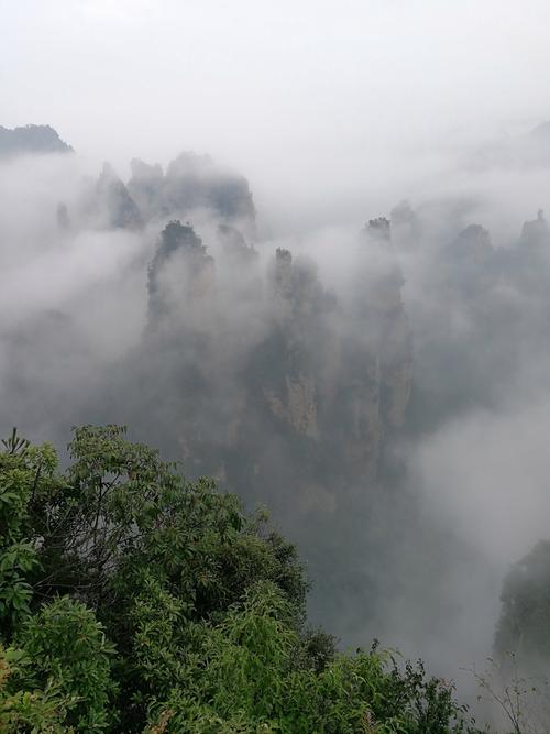 天子山西海峰林晨雾