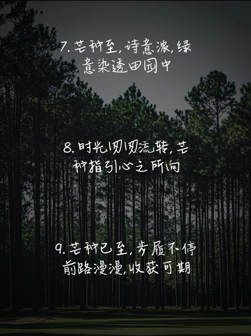 风停的时候握柄还润着
