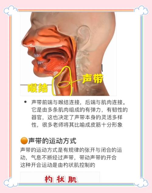声带闭合的秘诀——竟然是个“nei”字?