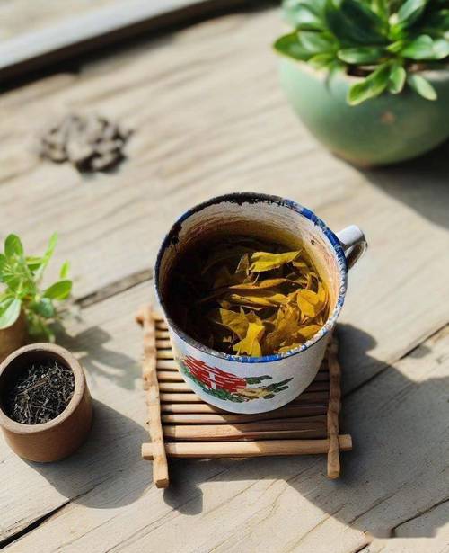 茶缸泡的伏茶甜得发哏