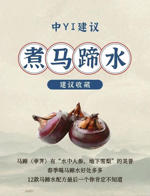封皮上的马蹄泥水